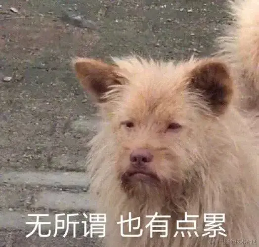 只写后台管理的前端要怎么提升自己