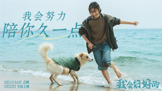 张子枫《我会好好的》发新预告 小狗视角展现温情陪伴
