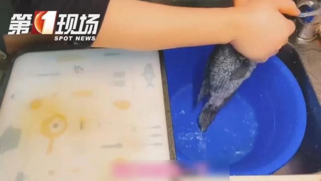 男子感染创伤弧菌险丧命 处理海鲜需谨慎
