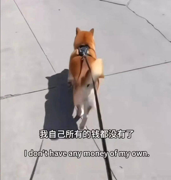 郑爽小号发声！避谈包养传闻账号被清，美国IP曝她下个月就生了
