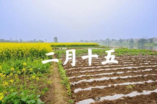 “三伏热不热，就看二月十五”，今日二月十五，三伏天会很热吗？