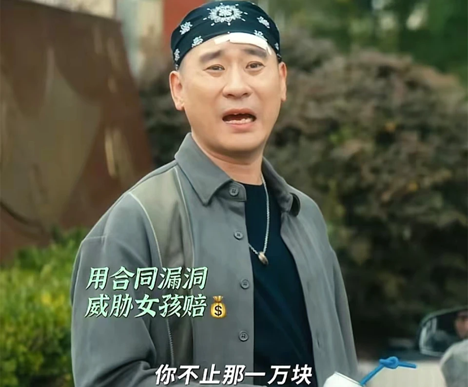 《北上》坑夏茂田2万元，买孩子当孙子？夏凤华最大的噩梦出现了